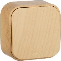 Выключатель накладной Legrand Quteo 1-кл. дерево картинка